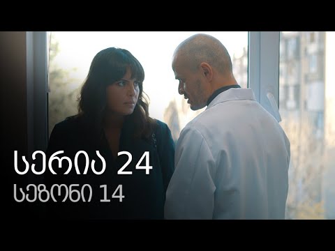 ჩემი ცოლის დაქალები - სერია 24 (სეზონი 14)